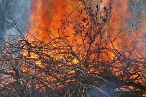 Waldbrände vermeiden –  Trockenheit erhöht Brandgefahr