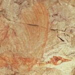 Grauvogels Wunderreptil Mirasaura grauvogeli